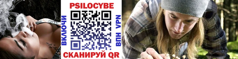 OMG как зайти  Бикин  Галлюциногенные грибы Magic Shrooms 